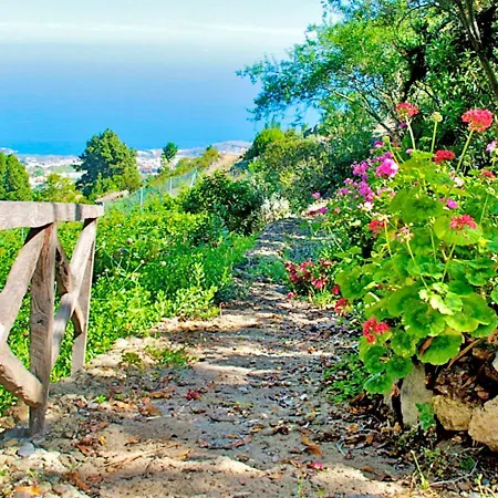 Feriehus Holiday - Ico135 Icod De Los Vinos
